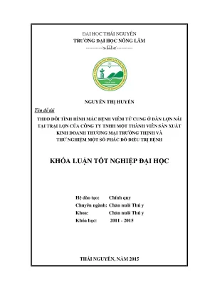 Luận Văn Thạc Sĩ: Theo Dõi Bệnh Viêm Tử Cung Ở Lợn Nái