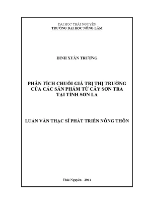 Phân Tích Chuỗi Giá Trị Thị Trường Sản Phẩm Từ Cây Sơn