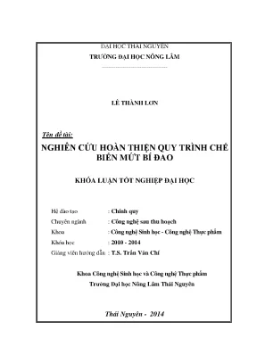 Nghiên cứu hoàn thiện quy trình chế biến mứt bí đao - 