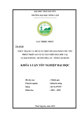 Giải pháp phát triển sản xuất sắn trên đất dốc tại Bạch