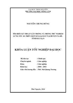 Nghiên cứu kỹ thuật trồng gừng núi đá tại Bắc Kạn