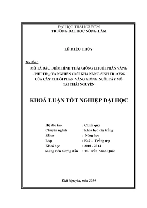 Nghiên cứu hình thái và sinh trưởng của giống chuối phấn