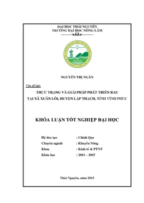 Giải pháp phát triển rau tại xã Xuân Lôi, huyện Lập