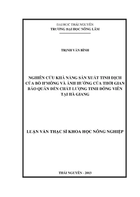 Nghiên cứu sản xuất tinh dịch bò H'Mông và ảnh hưởng