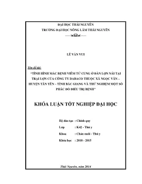 Nghiên cứu bệnh viêm tử cung ở lợn nái tại Dabaco Ngọc