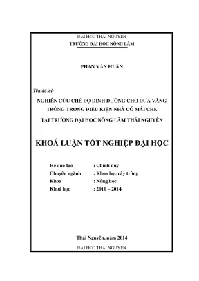 Nghiên cứu chế độ dinh dưỡng tối ưu cho dưa vàng trồng