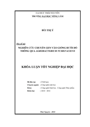 Nghiên cứu chuyển gen vào giống bưởi đỏ bằng