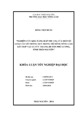 Nghiên cứu khả năng hấp thụ CO2 của cây gỗ trong mô hình