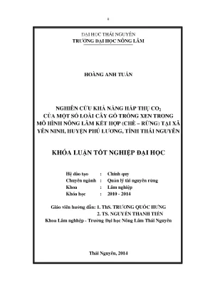 Nghiên cứu khả năng hấp thụ CO của cây gỗ trong mô hình