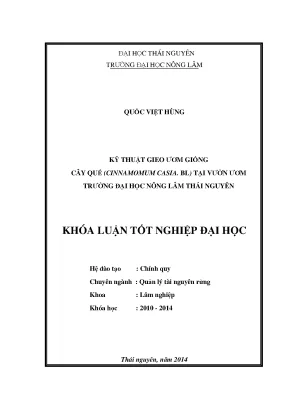 Kỹ thuật gieo ươm giống cây quế Cinnamomum Casia BL tại