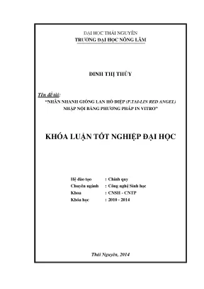 Phương pháp in vitro nhân giống lan hồ điệp P Tai Lin