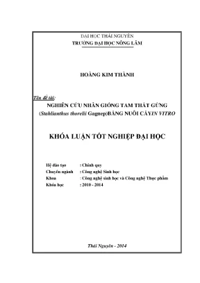 Nghiên cứu nhân giống tam thất gừng Stahlianthus