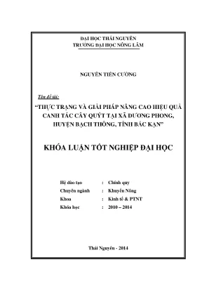 Thực Trạng Và Giải Pháp Nâng Cao Hiệu Quả Canh Tác Cây