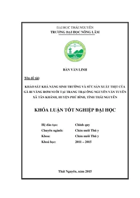 Khảo sát sinh trưởng và sản xuất thịt gà Ri vàng rơm tại
