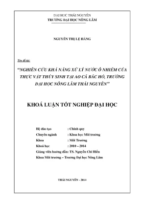 Nghiên cứu xử lý nước ô nhiễm bằng thực vật thủy sinh