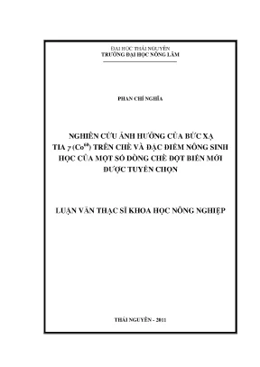 Nghiên cứu ảnh hưởng bức xạ γ Co60 trên chè và đặc điểm