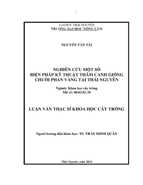 Kỹ thuật thâm canh giống chuối phấn vàng tại Thái Nguyên