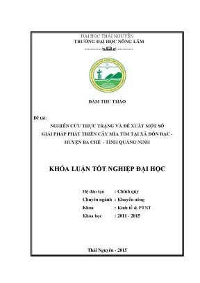 Nghiên cứu thực trạng và giải pháp phát triển cây mía