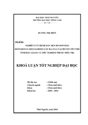 Nghiên cứu và thử nghiệm thuốc điều trị bệnh đầu đen do