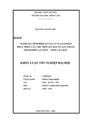 Đánh Giá Sản Xuất & Giải Pháp Phát Triển Cây Chè Tại Xã
