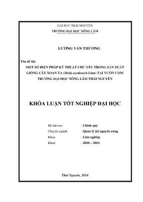 Biện pháp kỹ thuật sản xuất giống cây xoan ta tại Đại