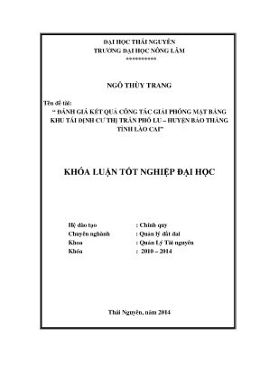 Đánh Giá Kết Quả Giải Phóng Mặt Bằng Khu Tái Định Cư Phố