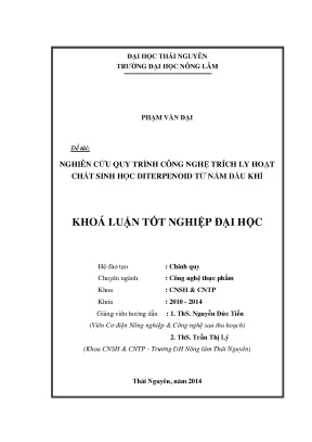 Nghiên cứu quy trình trích ly diterpenoid từ nấm đầu khỉ