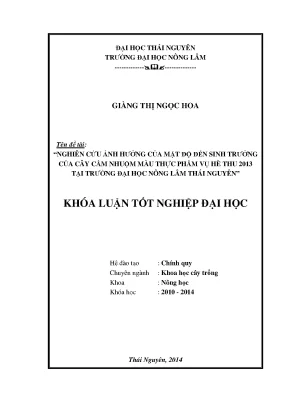 Nghiên cứu ảnh hưởng của mật độ cây cẩm nhuộm màu thực