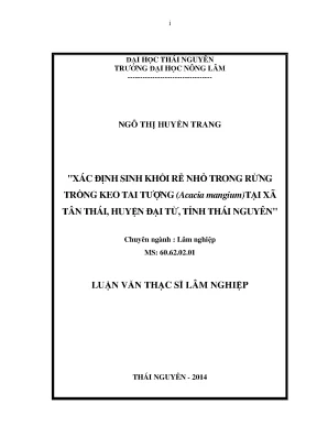 Nghiên cứu sinh khối rễ nhỏ trong rừng keo tai tượng