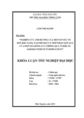 Nghiên cứu ảnh hưởng yếu tố đến tạo mô sẹo và tiếp nhận 