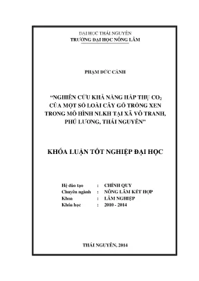 Nghiên cứu khả năng hấp thụ CO của cây gỗ trong mô hình