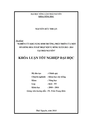 Nghiên cứu khả năng sinh trưởng của giống hoa tulip tại