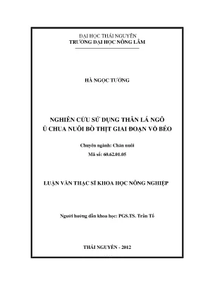 Nghiên cứu sử dụng thân lá ngô ủ chua trong chăn nuôi bò
