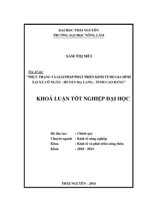 Thực Trạng Và Giải Pháp Phát Triển Kinh Tế Hộ Gia Đình