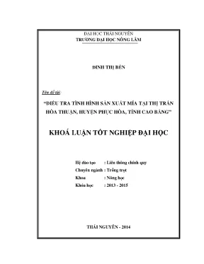 Nghiên cứu sản xuất mía tại thị trấn Hòa Thuận, huyện