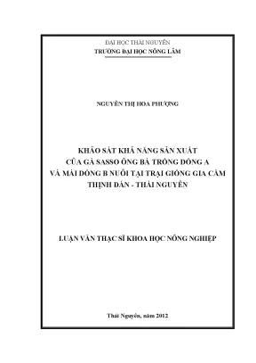Khảo Sát Khả Năng Sản Xuất Của Gà Sasso Ông Bà Trống