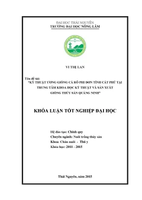 Nghiên cứu kỹ thuật ương giống cá rô phi đơn tính tại