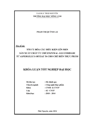 Tối ưu hóa lên men sản xuất chất ức chế enzym