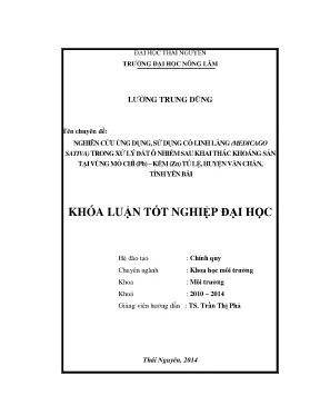 Ứng Dụng Cỏ Linh Lăng Medicago Sativa Xử Lý Đất Ô Nhiễm
