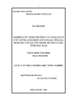Nghiên cứu sinh trưởng và năng suất cây gừng Zingiber