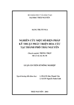 Phát triển hoa cúc tại Thái Nguyên: Các biện pháp kỹ