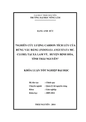 Nghiên cứu lượng carbon tích lũy trong rừng vầu đắng