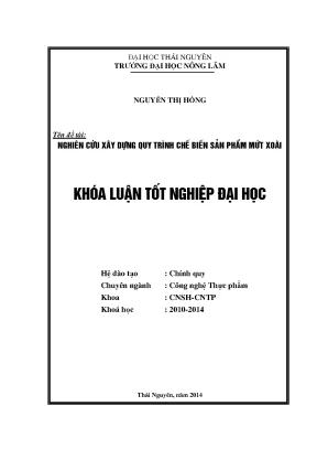 Quy Trình Chế Biến Mứt Xoài Hiệu Quả - Luận Văn Thạc Sĩ