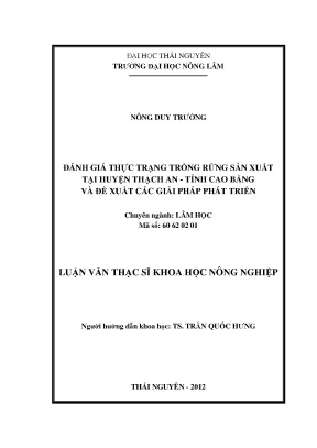 Đánh Giá Thực Trạng Trồng Rừng Sản Xuất Tại Huyện Thạch