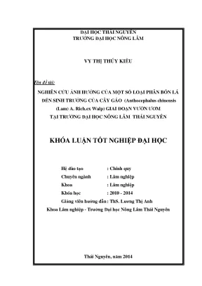 Ảnh hưởng phân bón lá đến sinh trưởng cây gáo