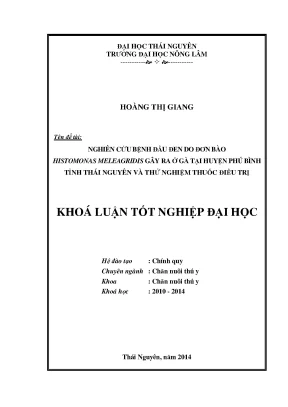 Nghiên cứu và thử nghiệm thuốc điều trị bệnh đầu đen do