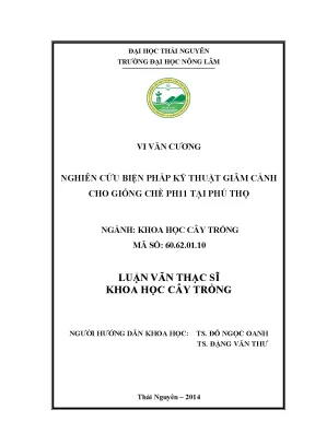 Nghiên cứu kỹ thuật giâm cành giống chè PH11 tại Phú Thọ
