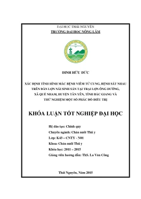 Nghiên cứu tình hình viêm tử cung và bệnh sát nhau ở lợn