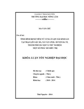Nghiên cứu bệnh viêm tử cung ở lợn nái tại Lộc Hà, Ba