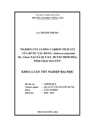 Nghiên cứu lượng carbon tích lũy trong rừng vầu đắng
